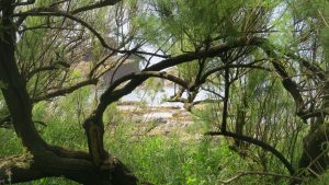 Hidden cove on Lizard Peninsula
